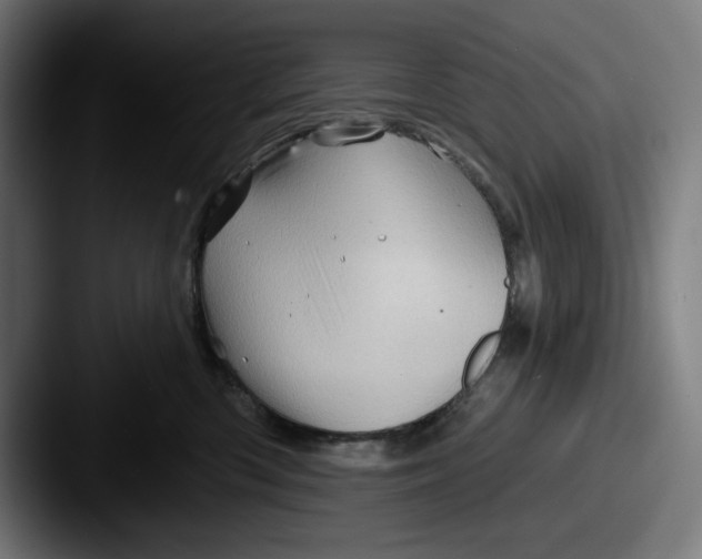 X0000087590426200705181222