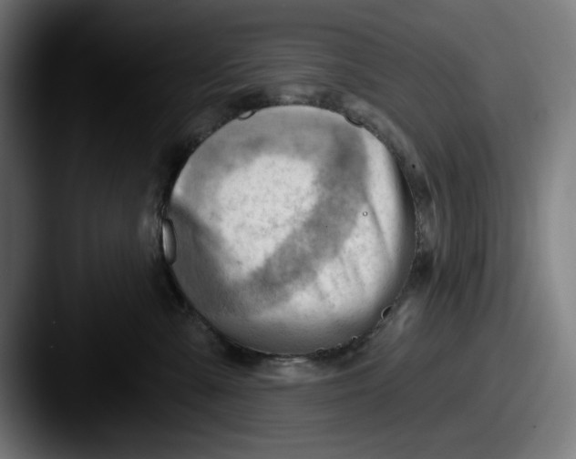 X0000087590427200705181222