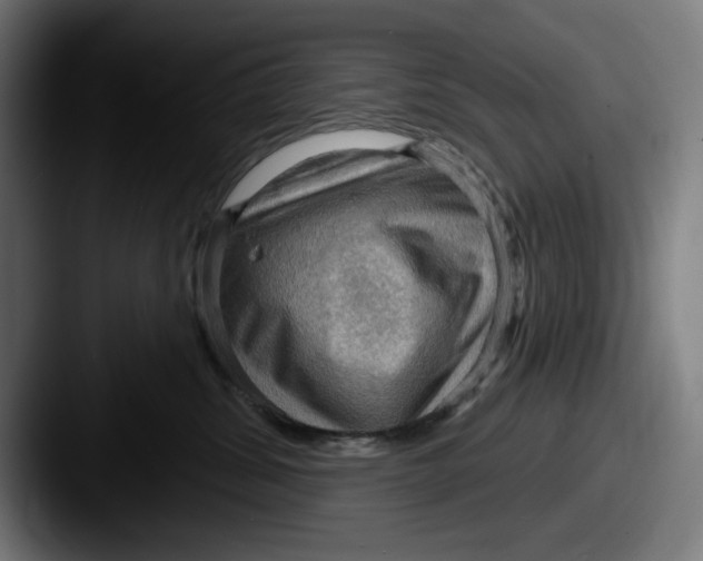 X0000087590428200705181222