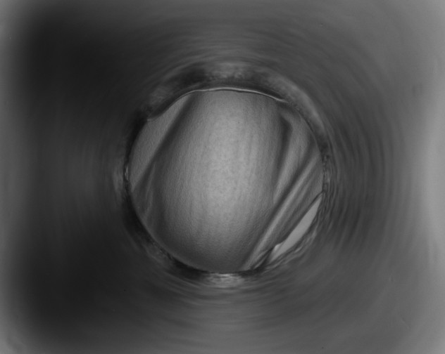 X0000087590429200705181222