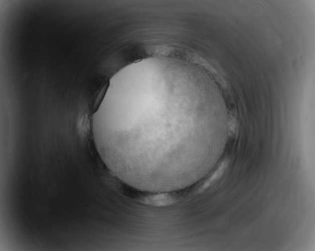 X0000087590431200705181222