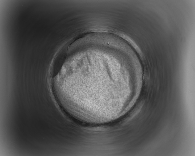 X0000087590433200705181222