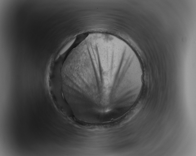 X0000087590434200705181222