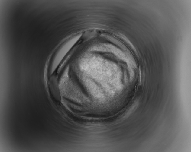 X0000087590435200705181222