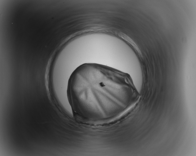 X0000087590436200705181222