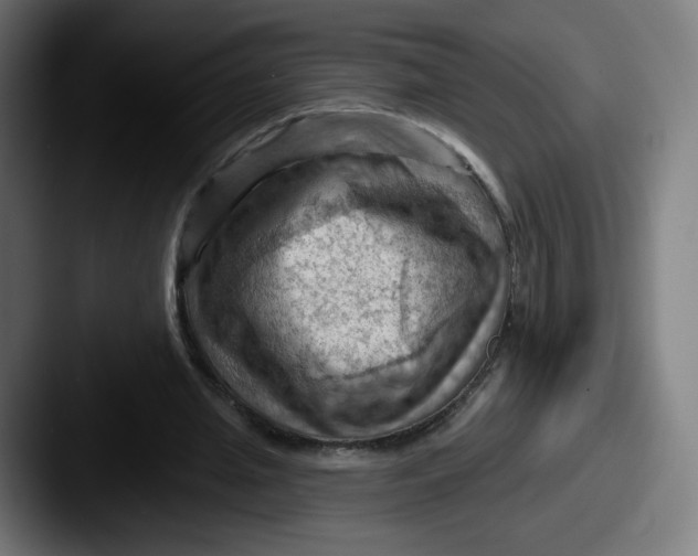 X0000087590437200705181222