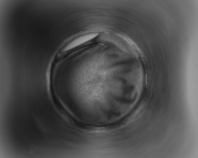 X0000087590438200705181222