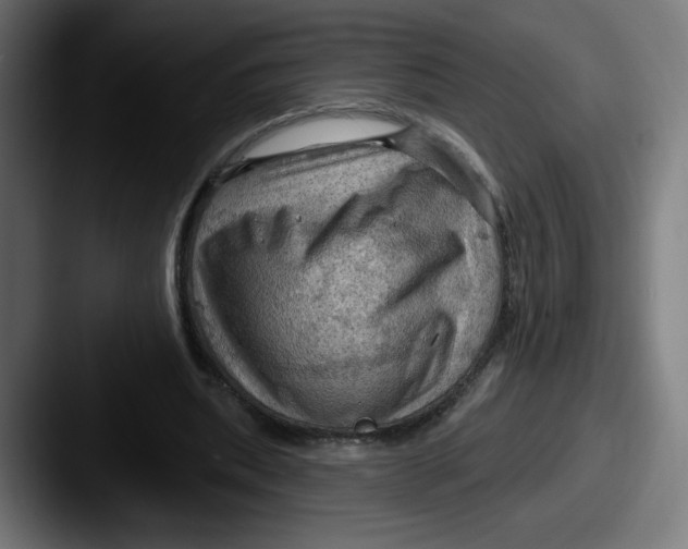 X0000087590439200705181222