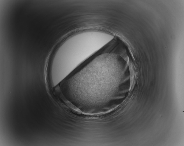 X0000087590440200705181222