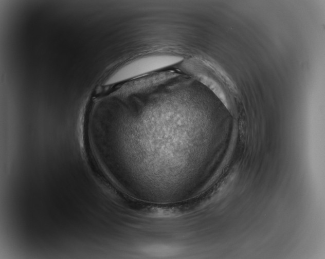 X0000087590442200705181222