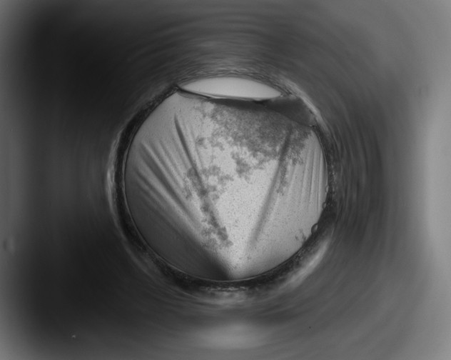 X0000087590443200705181222