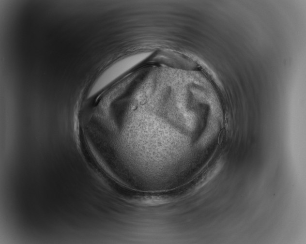 X0000087590445200705181222