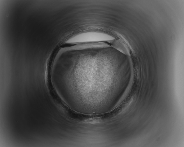 X0000087590447200705181222