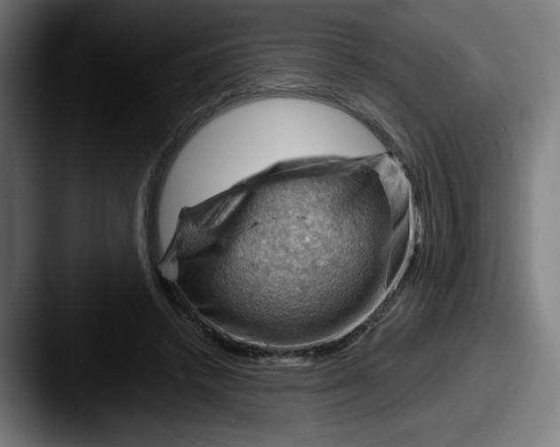 X0000087590448200705181222