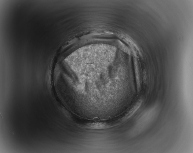 X0000087590449200705181222