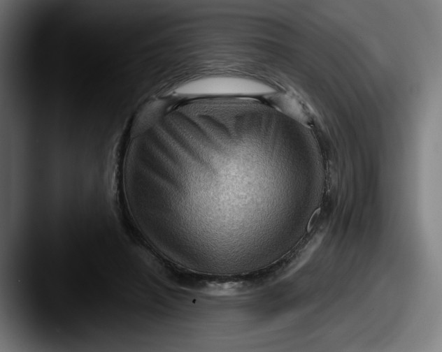 X0000087590450200705181222