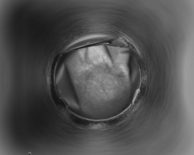 X0000087590452200705181222