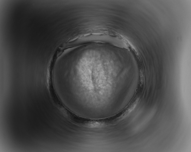 X0000087590453200705181222