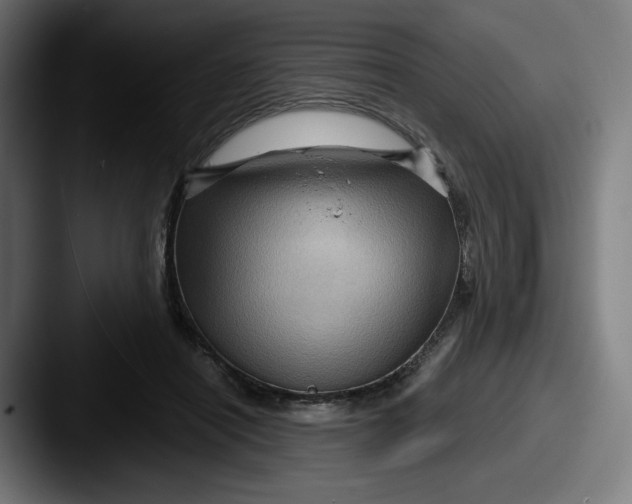 X0000087590454200705181222