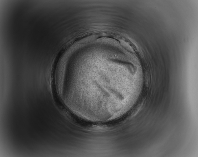 X0000087590455200705181222