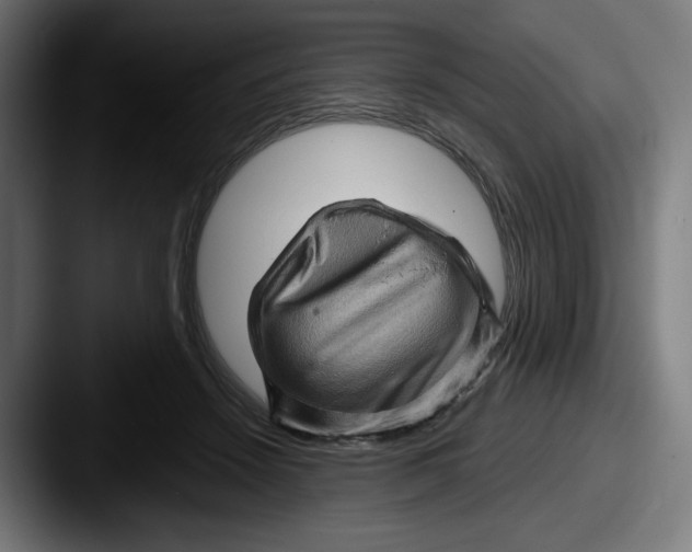 X0000087590456200705181222