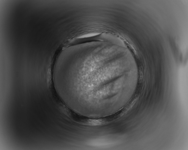 X0000087590457200705181222