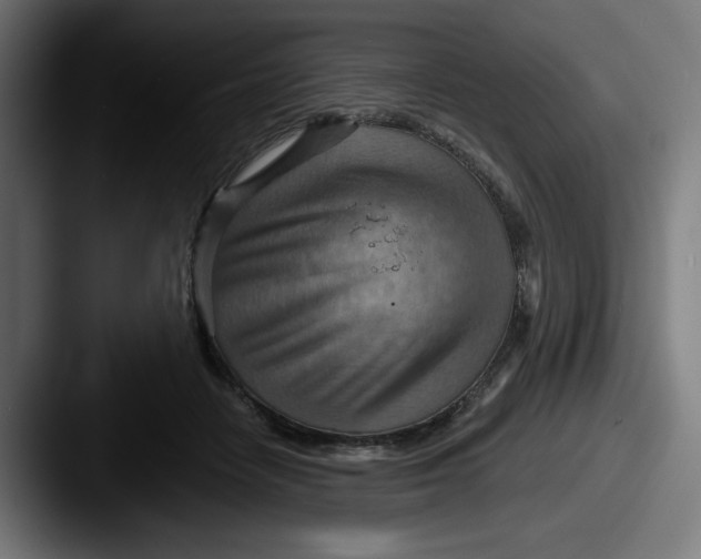 X0000087590458200705181222