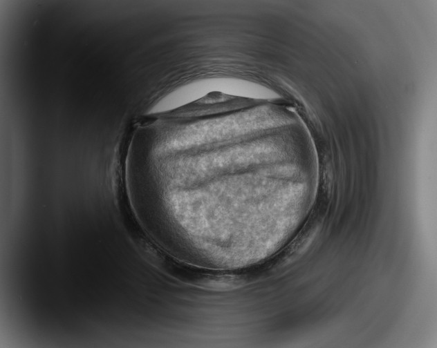 X0000087590459200705181222