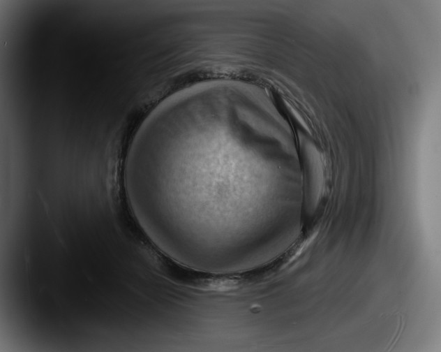 X0000087590462200705181222