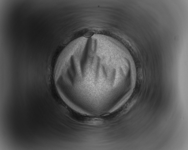 X0000087590463200705181222