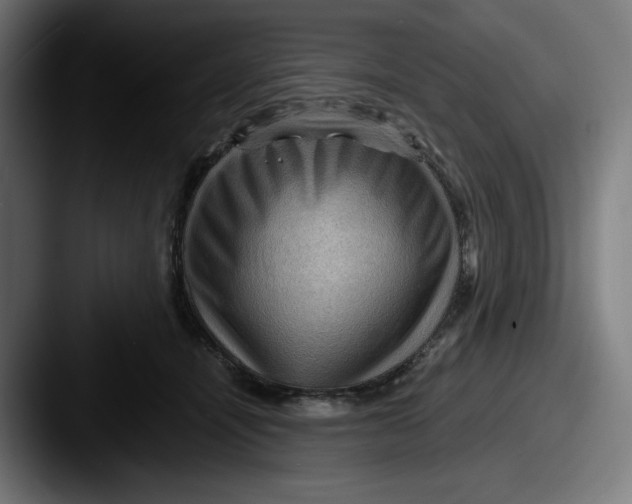 X0000087590464200705181222