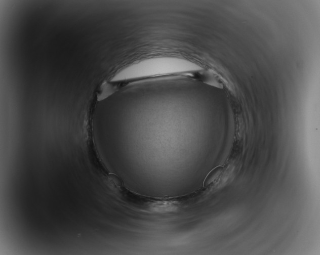 X0000087590465200705181222