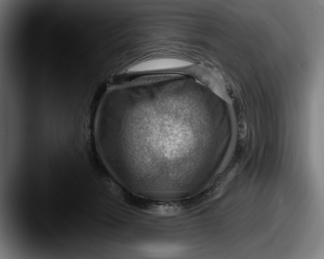 X0000087590466200705181222