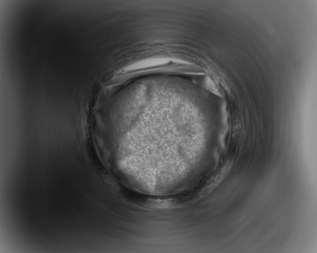 X0000087590469200705181222