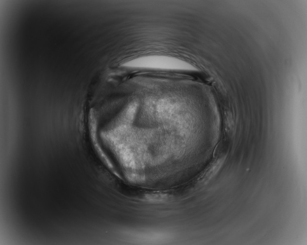 X0000087590470200705181222