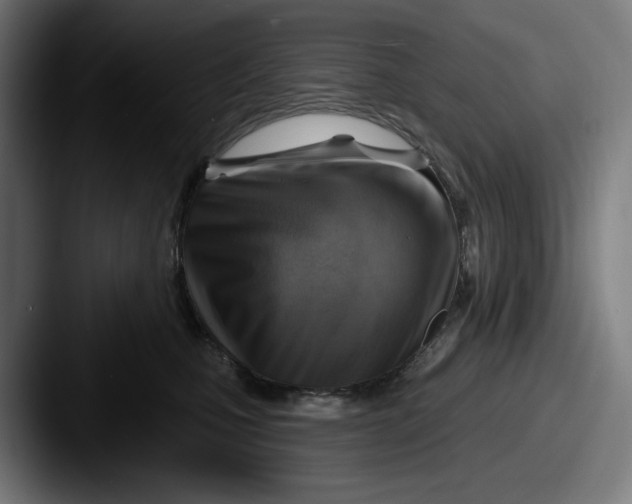 X0000087590471200705181222