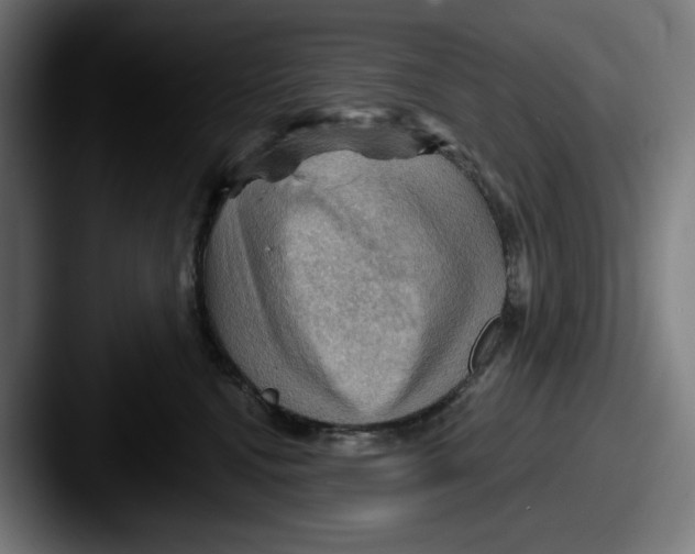 X0000087590472200705181222