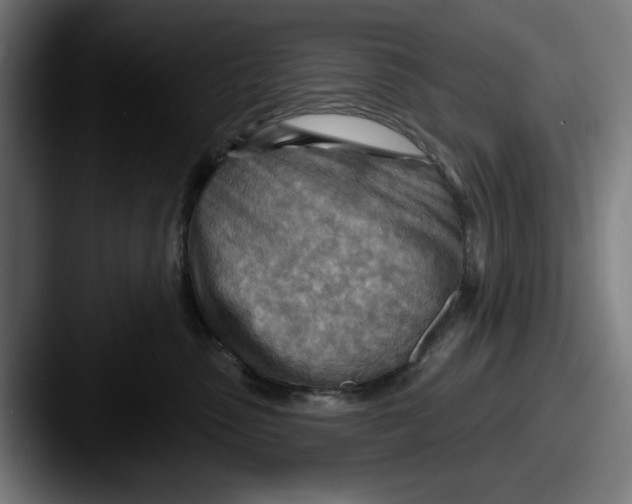 X0000087590475200705181222