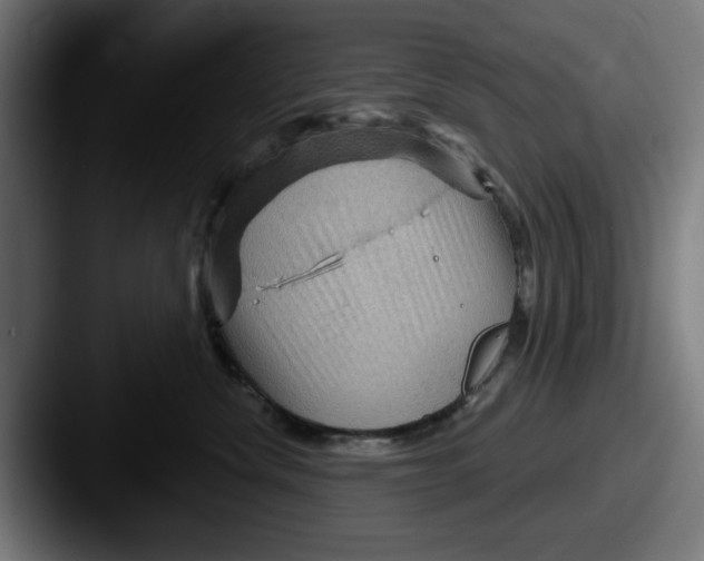 X0000087590476200705181222