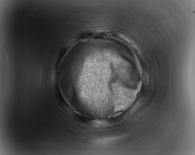 X0000087590477200705181222