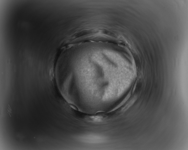 X0000087590478200705181222