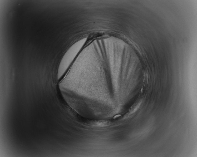 X0000087590479200705181222