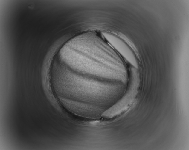 X0000087590481200705181222