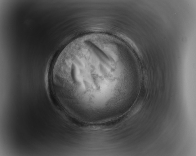 X0000087590482200705181222