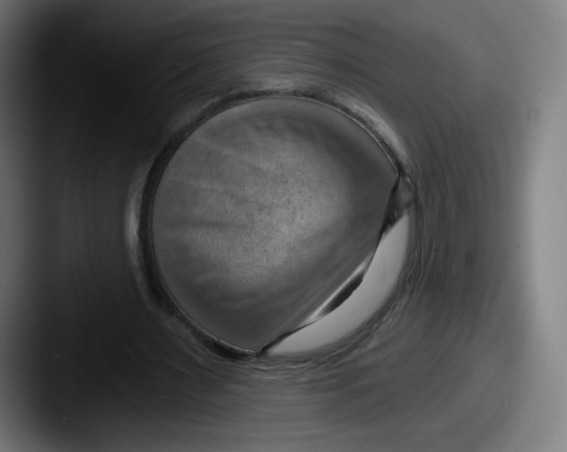 X0000087590483200705181222