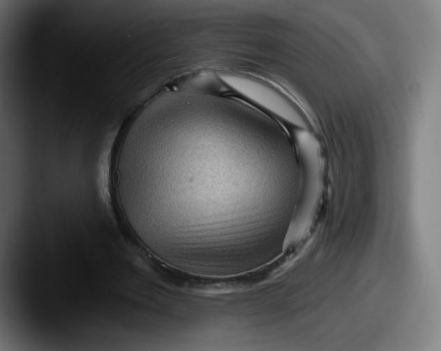 X0000087590485200705181222