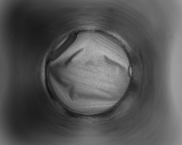 X0000087590486200705181222