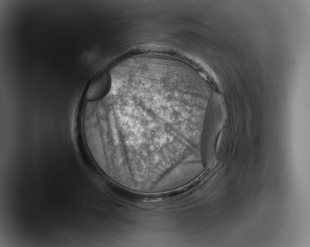 X0000087590487200705181222