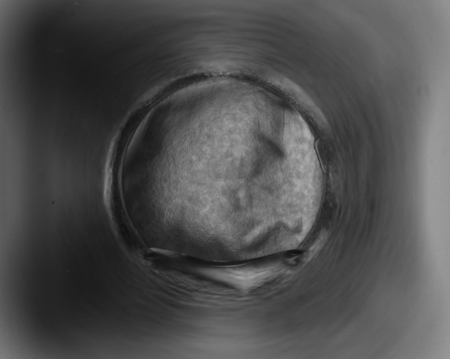 X0000087590488200705181222