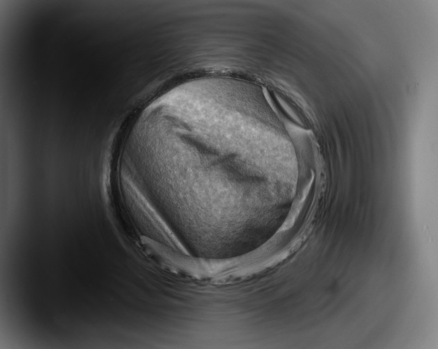 X0000087590492200705181222